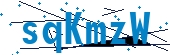recaptcha